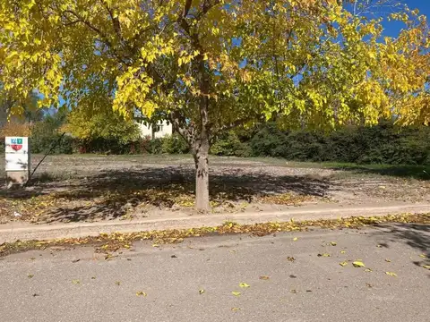 Terreno en Venta en Lujan de Cuyo, Luján de Cuyo