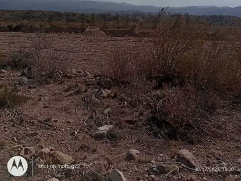 Terreno en Venta en Potrerillos, Luján de Cuyo