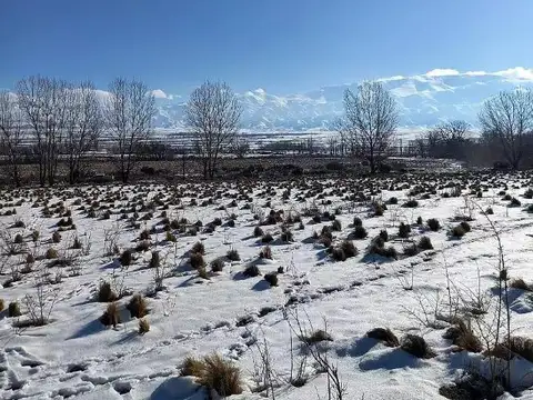 Terreno en Venta en Tupungato, Mendoza