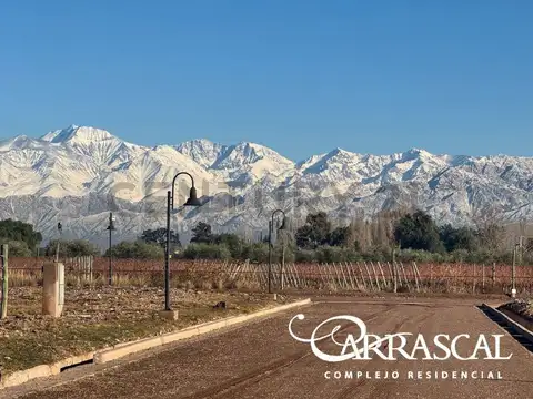Terreno en Venta en Lunlunta, Maipú