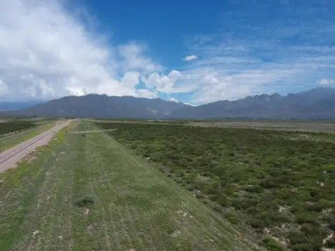 Terreno en Venta en Lujan De Cuyo, Lujan de Cuyo