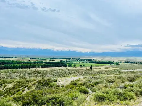 Terreno en Venta en Tupungato, Mendoza