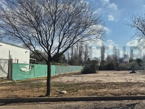Terreno en Venta en Chacras de Coria, Luján de Cuyo