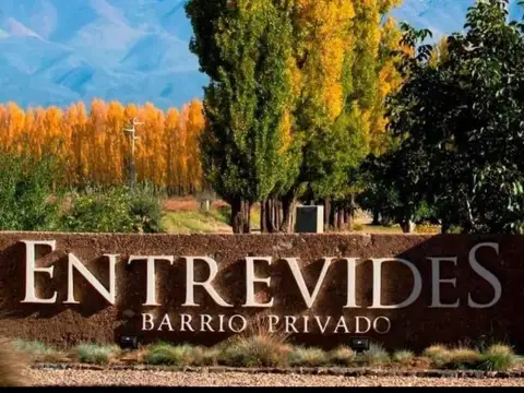 Terreno en Venta en Tupungato, Mendoza