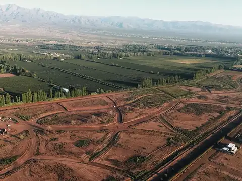 Terreno en Venta en Lujan de Cuyo, Luján de Cuyo
