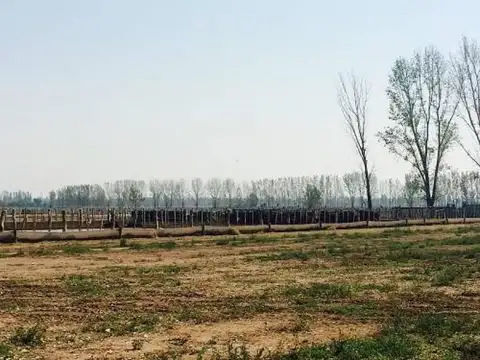 Casa en Venta en San Rafael, Mendoza