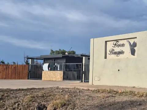 Terreno en Venta en Luján de Cuyo, Mendoza
