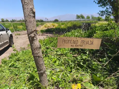 Campo en Venta en San Carlos, Mendoza