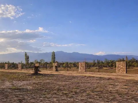 Terreno en Venta en Vistalba, Lujan de Cuyo
