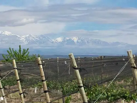 Terreno en Venta en Ugarteche, Luján de Cuyo