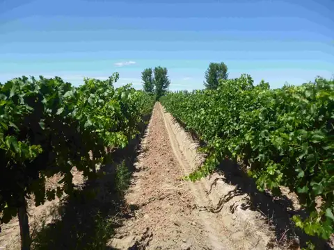 Terreno en Venta en Ugarteche, Luján de Cuyo