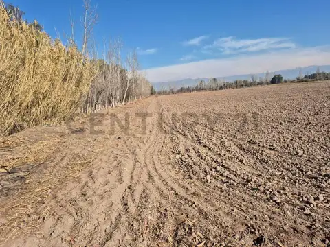 Terreno en Venta en 3 de Mayo, Lavalle
