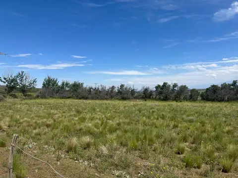 Terreno en Venta en La Carrera, Tupungato