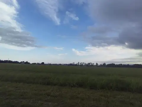 Terreno en Venta en Villa Anisacate, Santa María