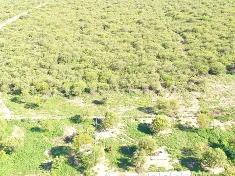 Campo en Venta en Villa de Soto, Cruz del Eje