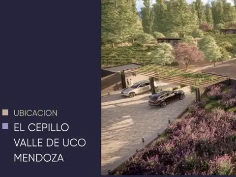 Casa en Venta en San Carlos, Mendoza