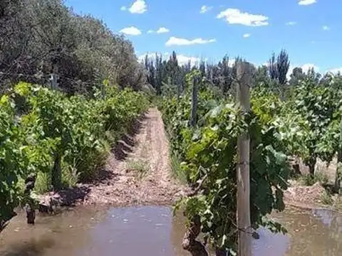 Casa en Venta en Junin, Ciudad de Junin