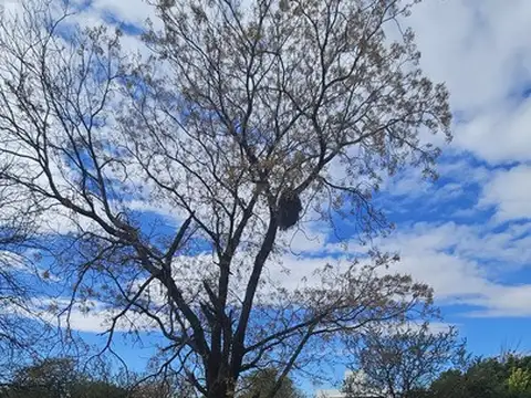 Terreno en Venta en Bela Vista, Río Ceballos