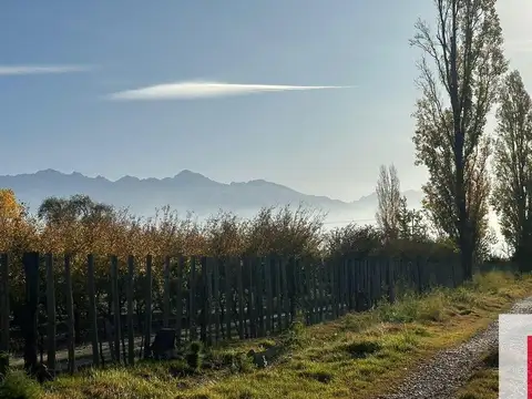 Casa en Venta en San Carlos, Mendoza