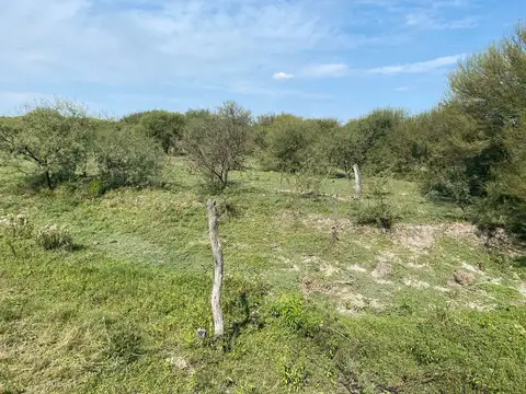 Campo en Venta en Fortin Olmos, Vera