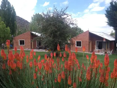 Hotel en Alquiler en Potrerillos, Luján de Cuyo