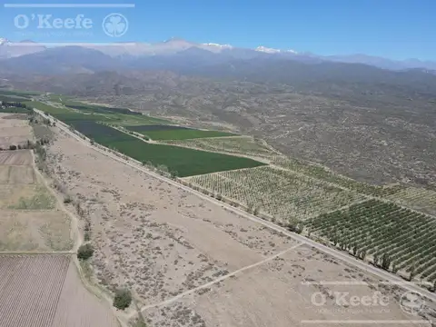 Campo en Venta en Tupungato, Mendoza