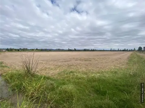 Campo en Venta en San Rafael, Mendoza