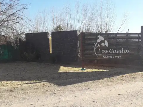 Campo en Venta en San Rafael, Mendoza