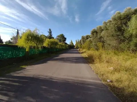 Campo en Venta en San Rafael, Mendoza