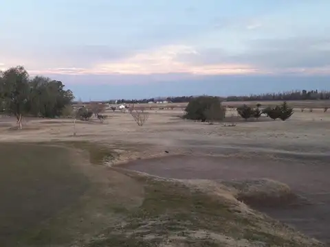 Campo en Venta en San Rafael, Mendoza