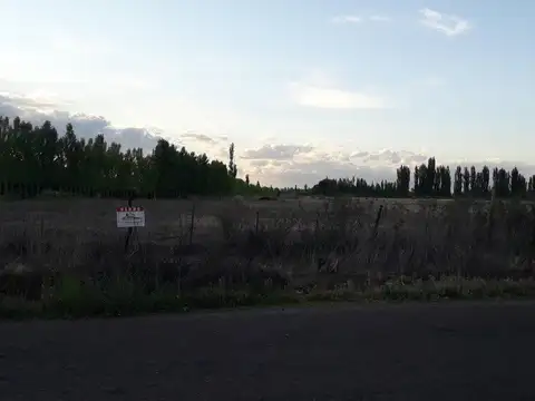 Campo en Venta en San Rafael, Mendoza