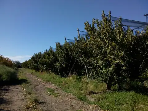 Campo en Venta en Posta de Hierro, General Alvear