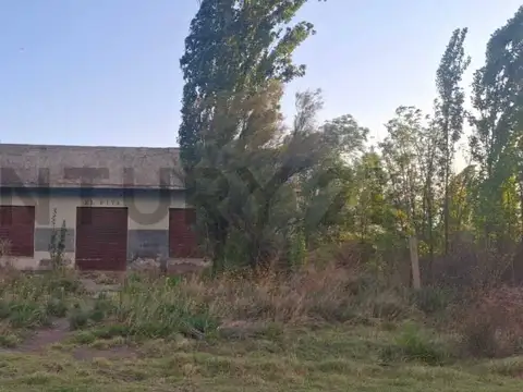 Campo en Venta en San Rafael, Mendoza