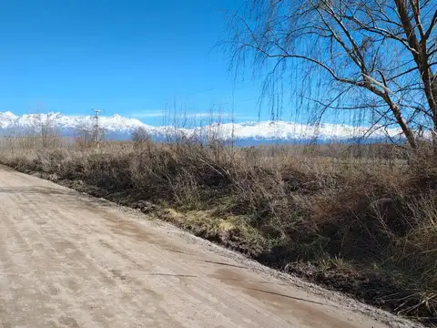 Campo en Venta en La Primavera, Tunuyán