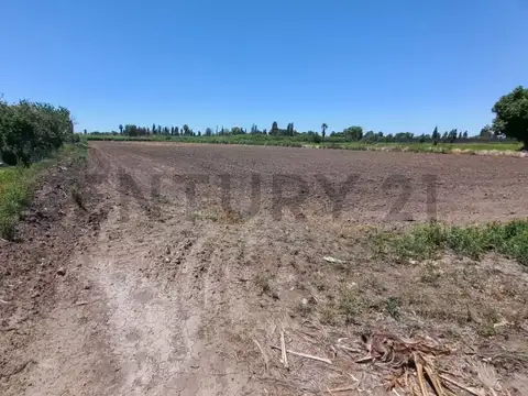 Campo en Venta en Rodeo de la Cruz, Guaymallén