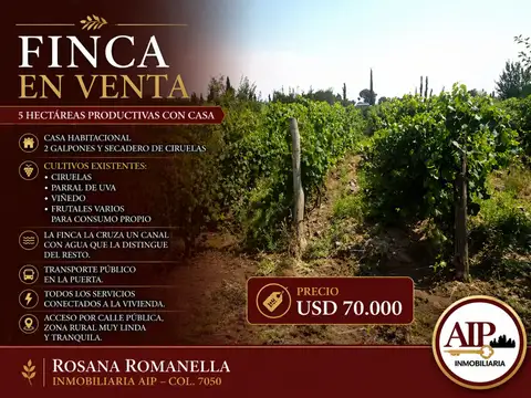 Campo en Venta en San Rafael, Mendoza