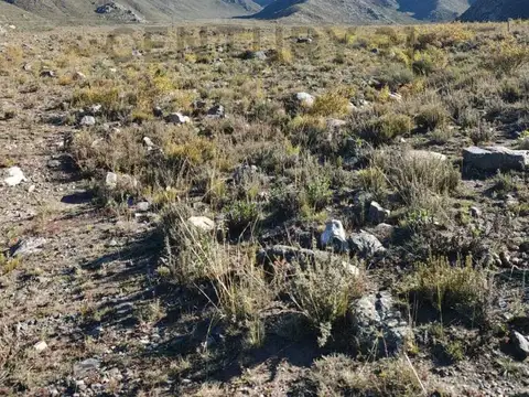 Campo en Venta en Potrerillos, Luján de Cuyo