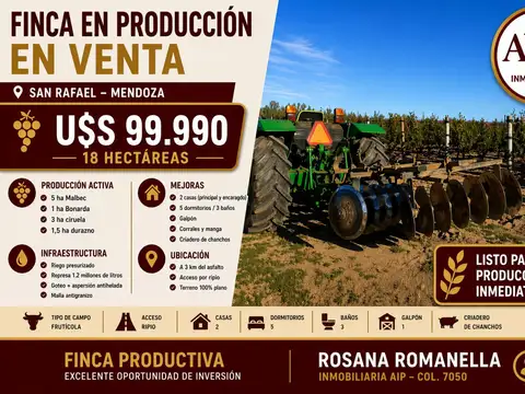 Campo en Venta en San Rafael, Mendoza