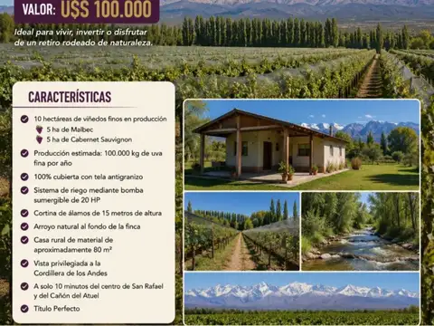 Campo en Venta en San Rafael, Mendoza