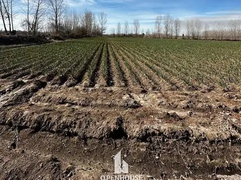 Campo en Venta en Tunuyan, Tunuyán