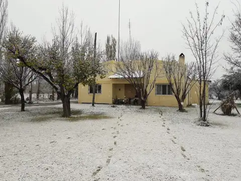 Campo en Venta en San Rafael, Mendoza