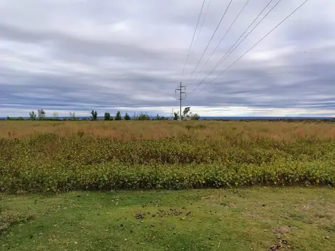 Campo en Venta en El Carrizal, Luján de Cuyo