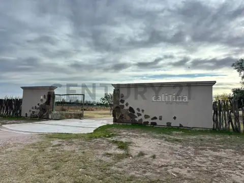 Campo en Venta en Las Paredes, San Rafael