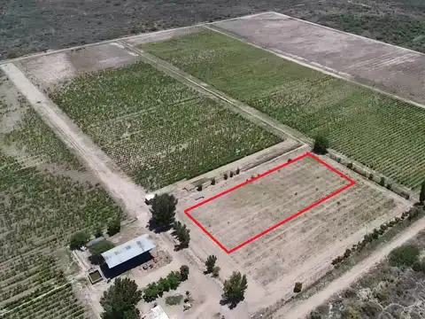 Campo en Venta en Gobernador Civit, Santa Rosa