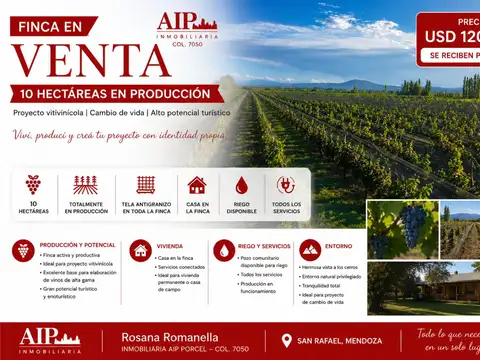 Campo en Venta en San Rafael, Mendoza