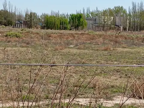 Campo en Venta en Pedro Vargas, San Rafael