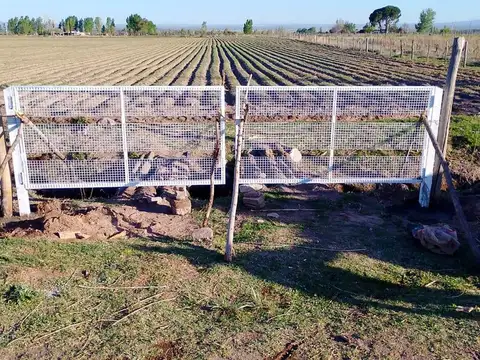 Campo en Venta en La Consulta, San Carlos