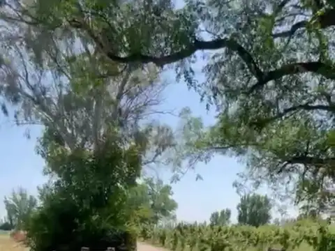 Campo en Venta en General Alvear, Mendoza