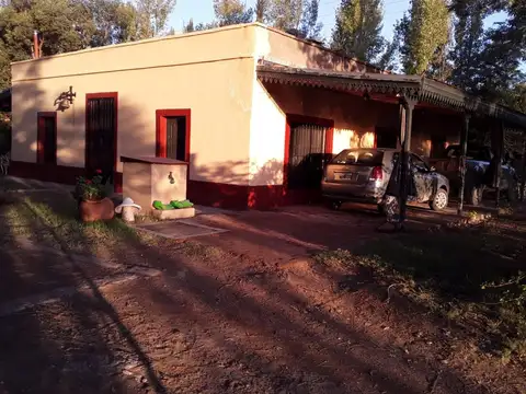 Campo en Venta en San Rafael, Mendoza