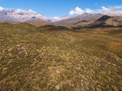 Campo en Venta en Los Arboles de Villegas, Tunuyán